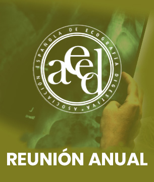 Reunión Anual AEED